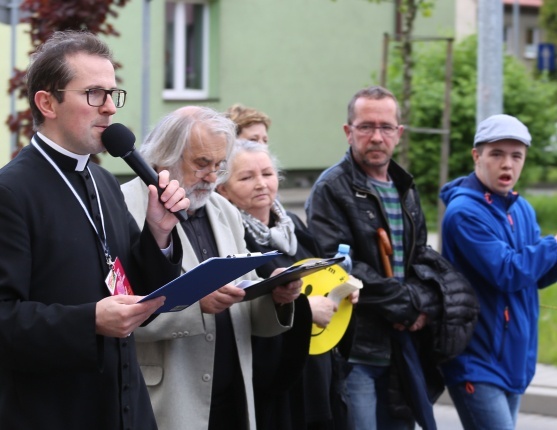 5. Marsz dla Życia i Rodziny w Oświęcimiu