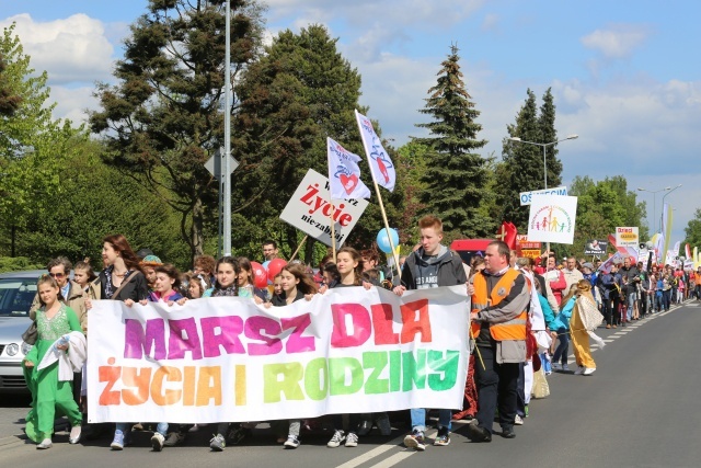 5. Marsz dla Życia i Rodziny w Oświęcimiu - piknik