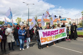 Tegoroczny marsz przeszedł z placu Jegiellończyka, ulicami Królewiecką, Armii Krajowej, Hetmańską, Giermków, Wigilijną, Świętego  Ducha i Mostową.