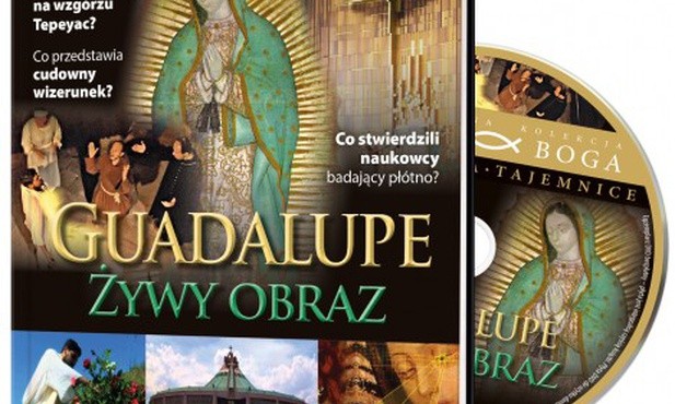 Obraz pod mikroskopem