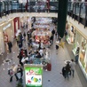 TNS: 85 proc. Polaków robi zakupy w niedziele