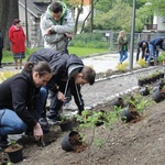 Ogród ekologiczny przy Hospicjum św. Jana Pawła II