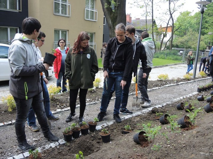 Ogród ekologiczny przy Hospicjum św. Jana Pawła II