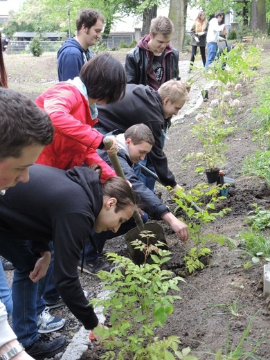 Ogród ekologiczny przy Hospicjum św. Jana Pawła II