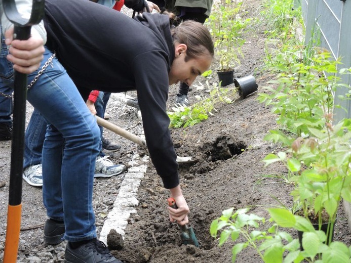 Ogród ekologiczny przy Hospicjum św. Jana Pawła II