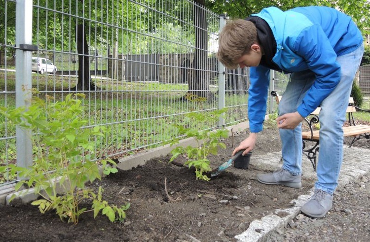 Ogród ekologiczny przy Hospicjum św. Jana Pawła II