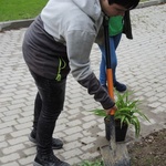 Ogród ekologiczny przy Hospicjum św. Jana Pawła II