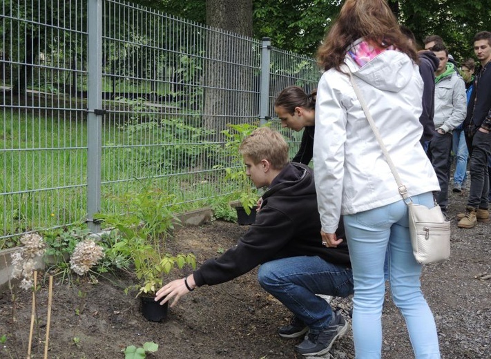 Ogród ekologiczny przy Hospicjum św. Jana Pawła II