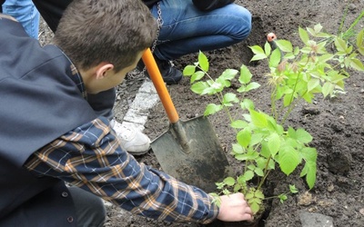 Ogród ekologiczny przy Hospicjum św. Jana Pawła II