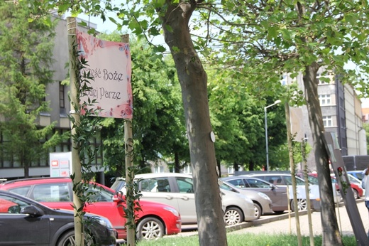 Jubileusze małżeńskie, cz. I