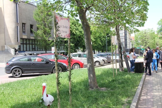 Jubileusze małżeńskie, cz. I