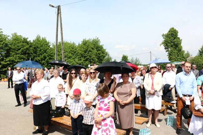 Koronacja obrazu Matki Bożej Saneckiej