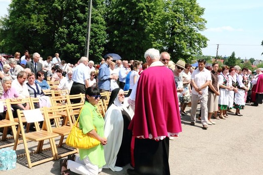 Koronacja obrazu Matki Bożej Saneckiej