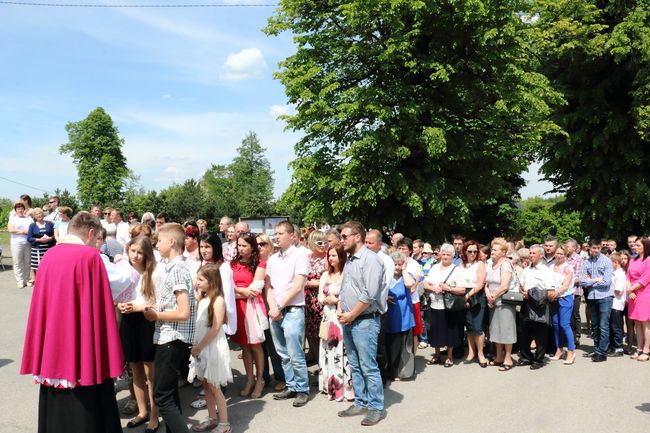 Koronacja obrazu Matki Bożej Saneckiej