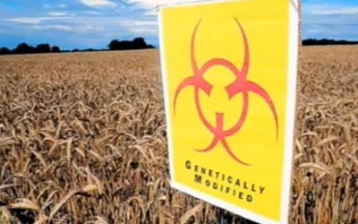 Bayer chce przejąć Monsanto