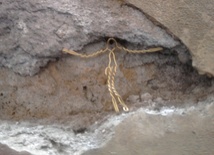 Nie wiecie, o co prosicie