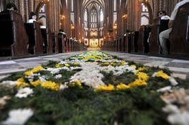 Kwietny dywan układany w bazylice katedralnej św. Michała Archanioła i św Foriana na Pradze
