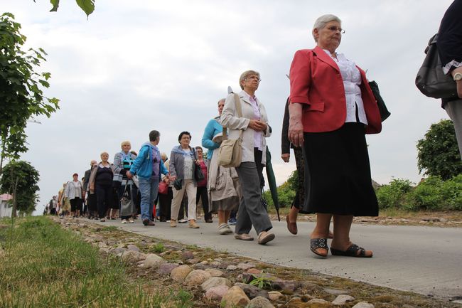 Pielgrzymka Apostolatu Maryjnego