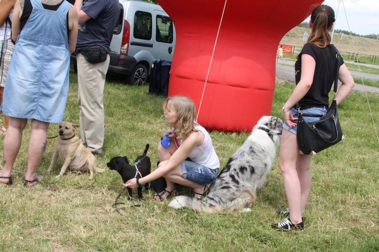 Piknik "Podaj łapę"