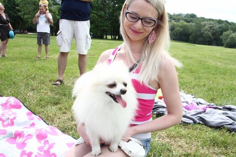 Piknik "Podaj łapę"