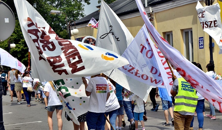 Marsz dla Życia i Rodziny w Płońsku