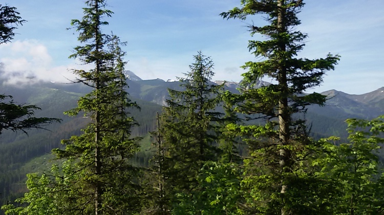 IX Bieg Marduły - Mistrzostwa Polski w Skyrunningu