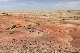 Na pustyni Gobi