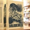 Nowa publikacja Płockiego Instytutu Wydawniczego – reprint książki bł. bp. Leona Wetmańskiego „Miłosierdzie” z 1939 roku.