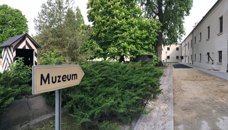 Darmowe muzea na ŚDM