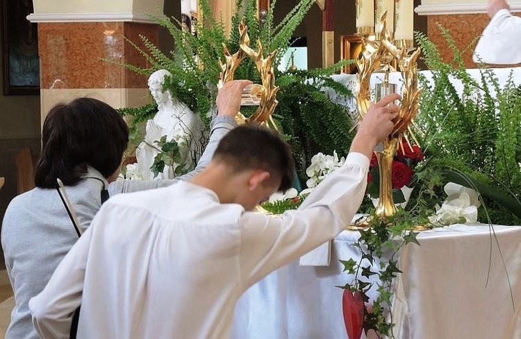 Znaki Miłosierdzia w Cygańskim Lesie