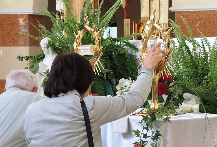 Znaki Miłosierdzia w Cygańskim Lesie