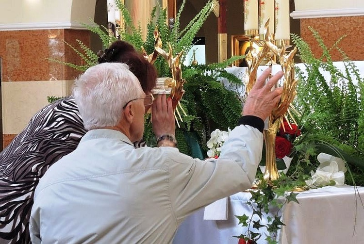 Znaki Miłosierdzia w Cygańskim Lesie