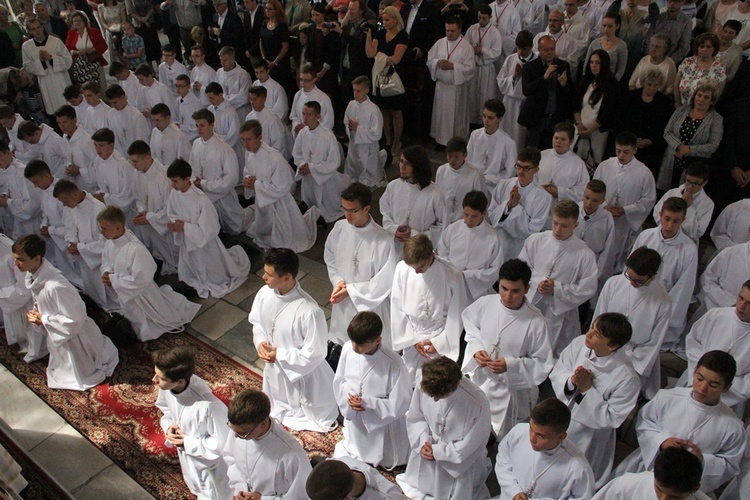 Nowi lektorzy i ceremoniarze