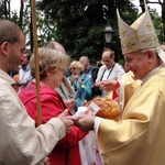 Talerz Miłosierdzia z Gwiazdami 