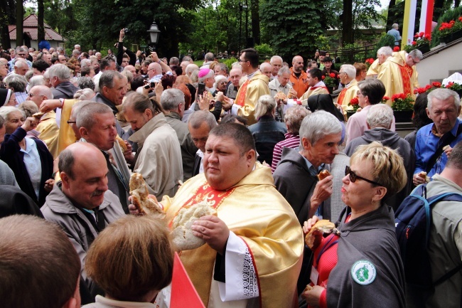 Talerz Miłosierdzia z Gwiazdami 