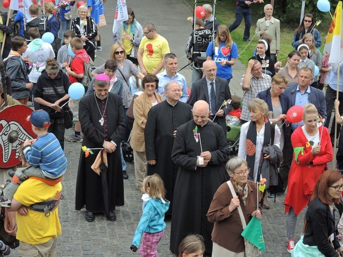 III Marsz dla Życia i Rodziny w Bielsku-Białej - 2016