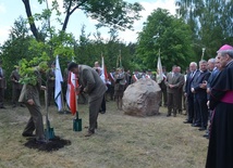 Zasadzono dąb pamięci Jana Pawła II