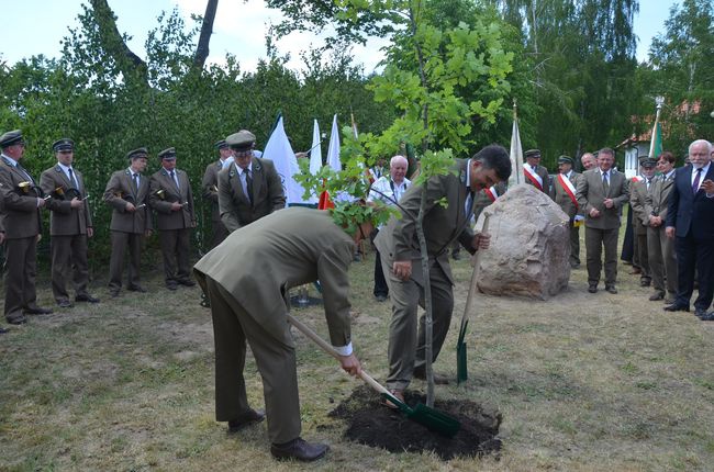 Ostrowieckie Dni Lasu