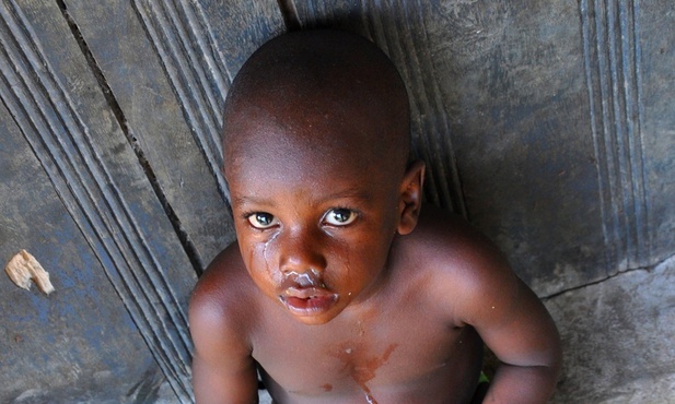 Afryka? To niedaleko 