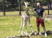 Gortat karmi "chrześniaka"