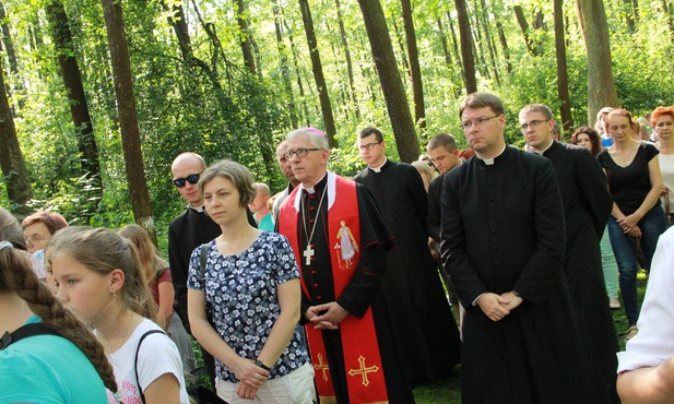 Prosimy o powołania