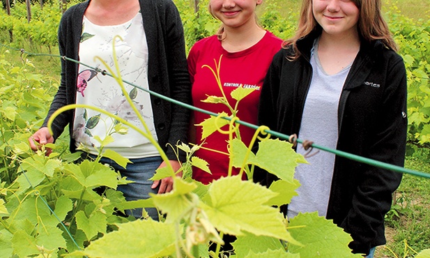 Gdzieś na końcu świata