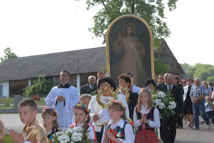 Nawiedzenie w Domosławicach