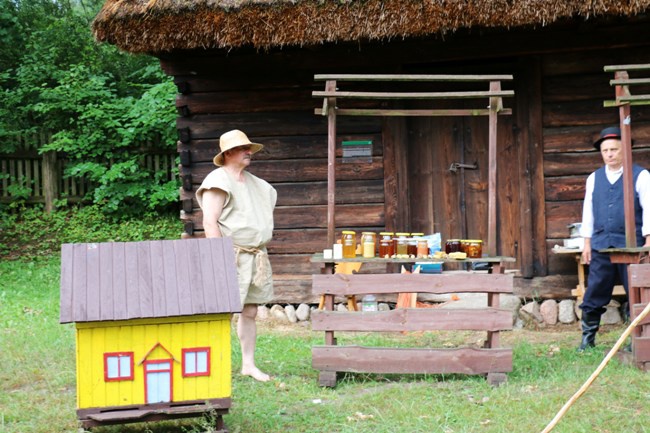 Miodobranie w skansenie