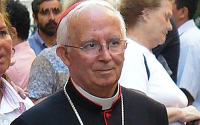 Kardynał nie pójdzie do więzienia za homofobię