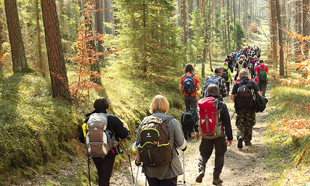 Idziesz na długą wyprawę do lasu? Koniecznie weź ze sobą naładowaną komórkę, a do plecaka wrzuć termos z gorącą herbatą i kanapki.