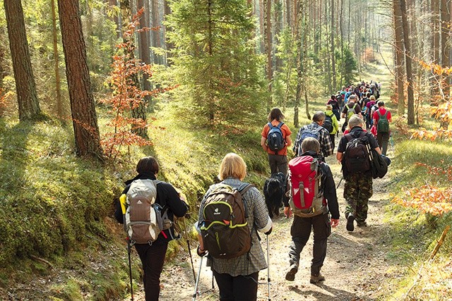 Idziesz na długą wyprawę do lasu? Koniecznie weź ze sobą naładowaną komórkę, a do plecaka wrzuć termos z gorącą herbatą i kanapki.