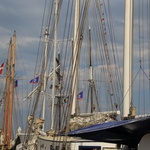 Baltic Sail 2016  