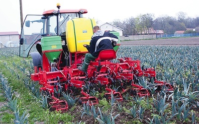 ▼	Sandomierscy plantatorzy niepokoją się o rynek zbytu swoich produktów.  