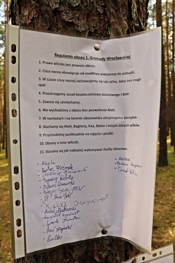 Na obozie letnim u Zawiszaków